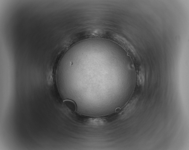 X0000102500520200808081351