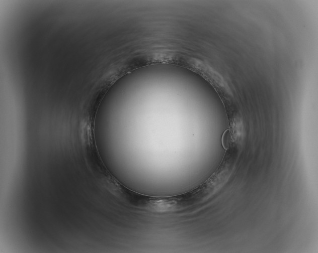 X0000102500522200808081351