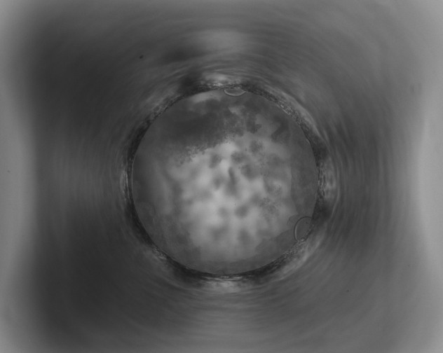 X0000102500523200808081351