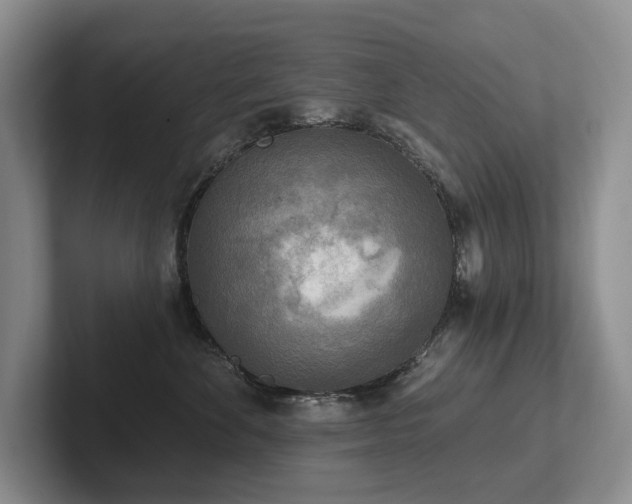 X0000102500524200808081351