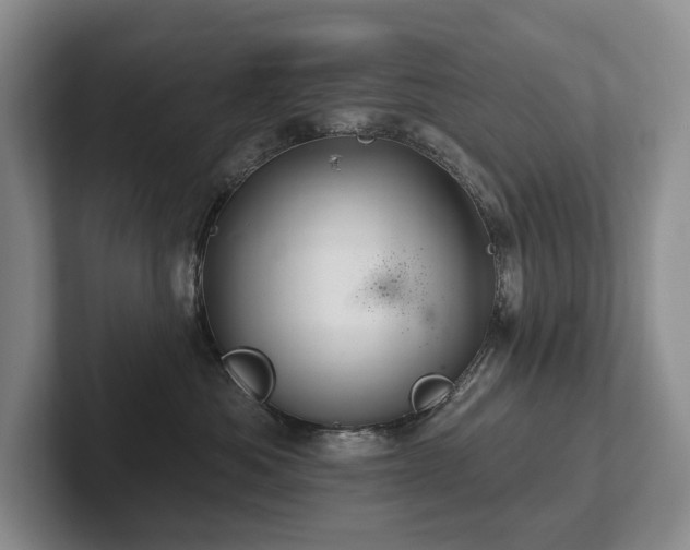 X0000102500525200808081351