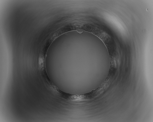 X0000102500526200808081351