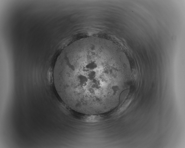 X0000102500527200808081351