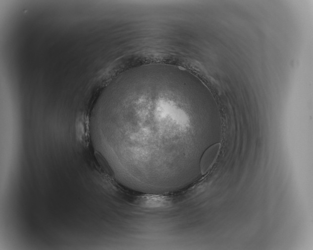 X0000102500528200808081351