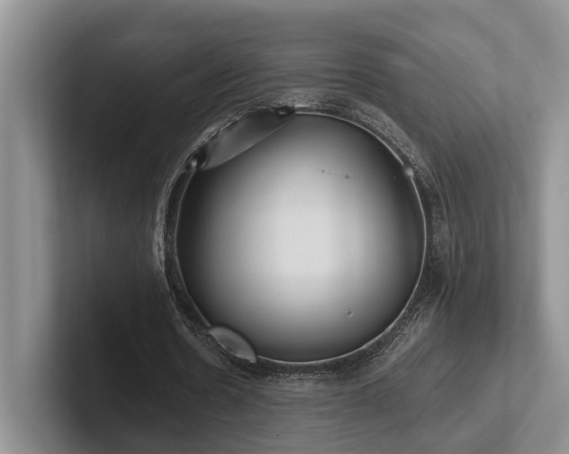 X0000102500530200808081351