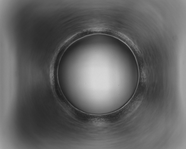 X0000102500535200808081351