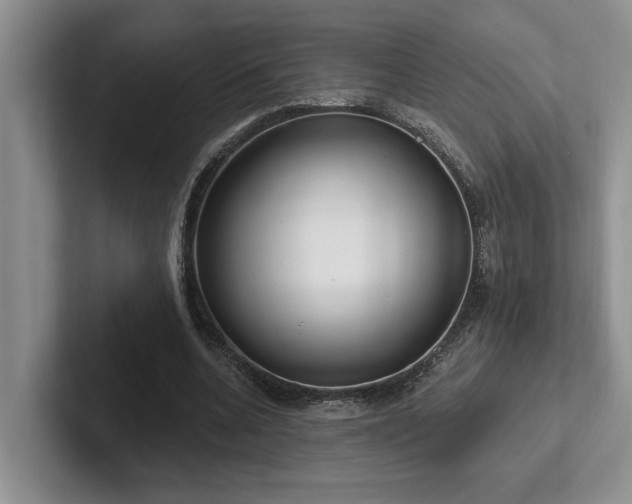 X0000102500536200808081351