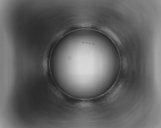 X0000102500537200808081351