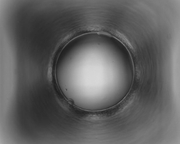 X0000102500538200808081351