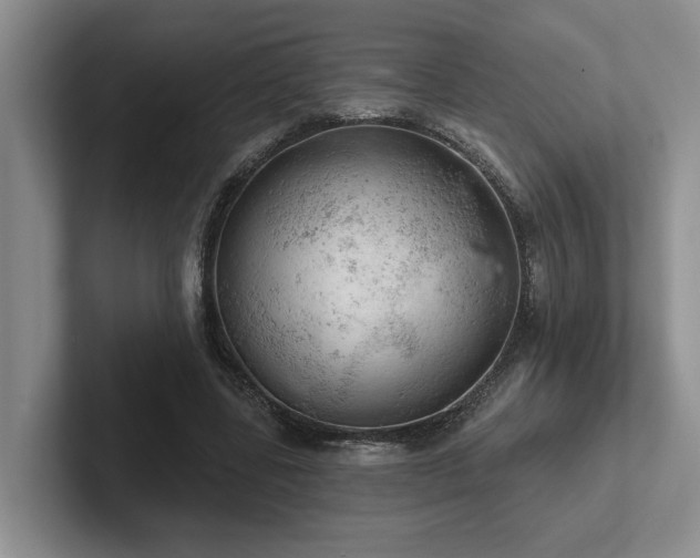 X0000102500539200808081351