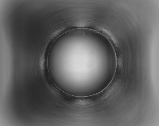 X0000102500540200808081351