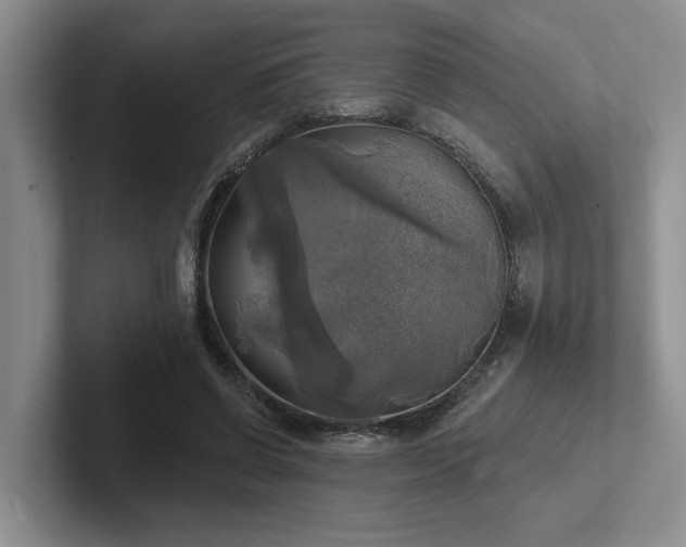 X0000102500542200808081351