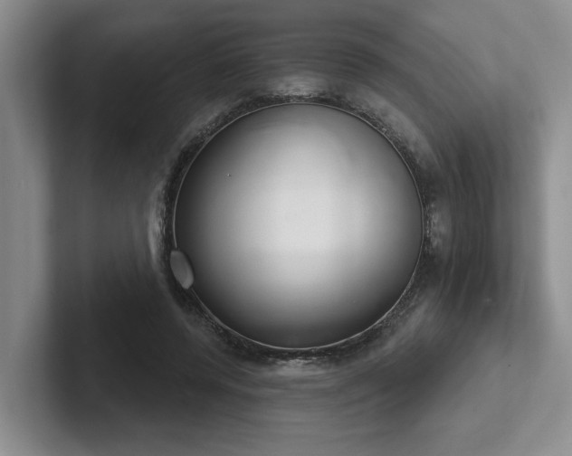 X0000102500544200808081351