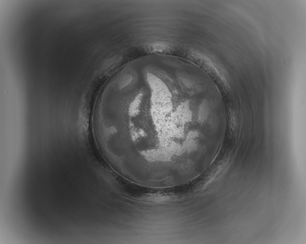 X0000102500545200808081351