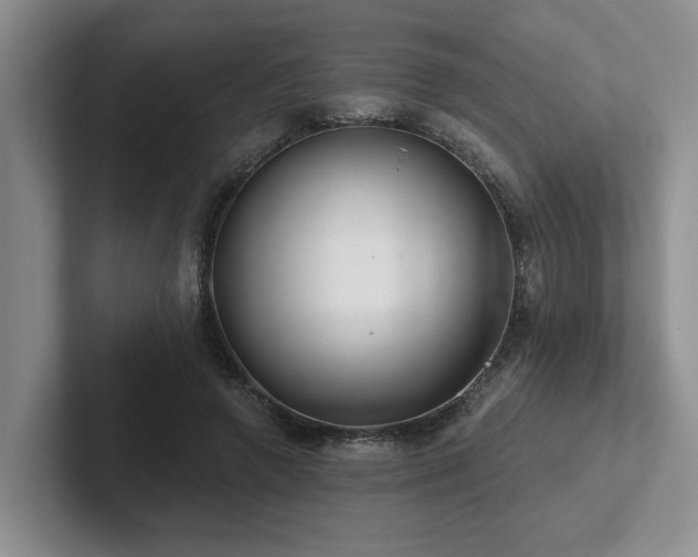 X0000102500546200808081351