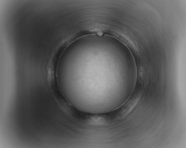 X0000102500547200808081351