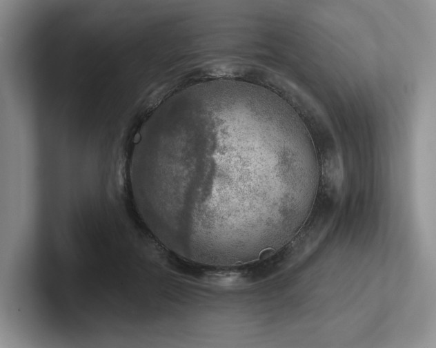 X0000102500554200808081351