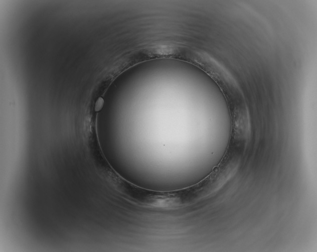 X0000102500555200808081351