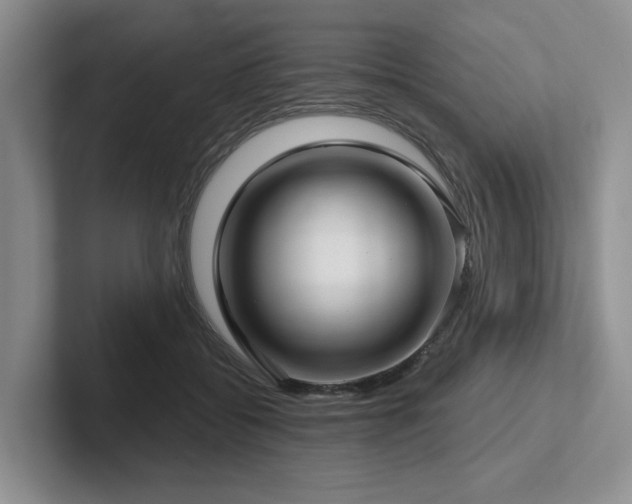 X0000102500556200808081351