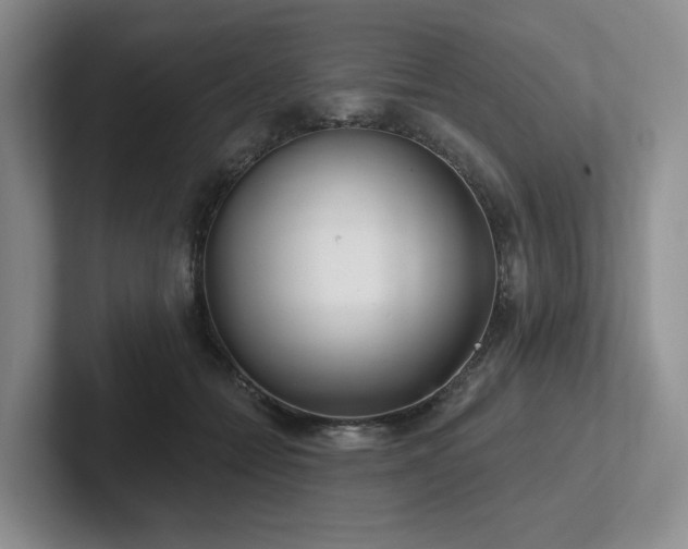 X0000102500558200808081351