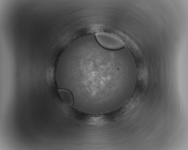 X0000102500560200808081351