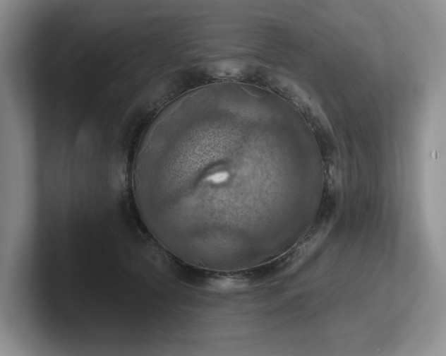 X0000102500561200808081351