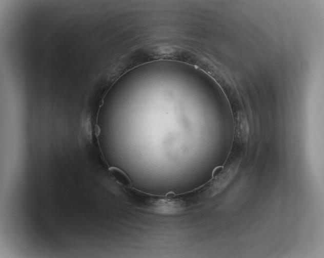 X0000102500562200808081351