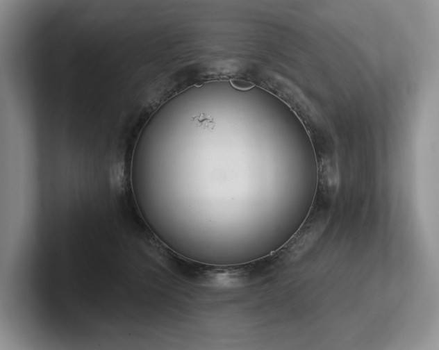 X0000102500564200808081351