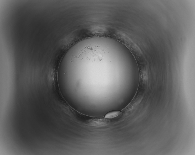 X0000102500567200808081351