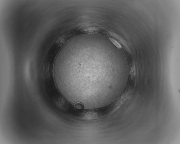 X0000102500572200808081351