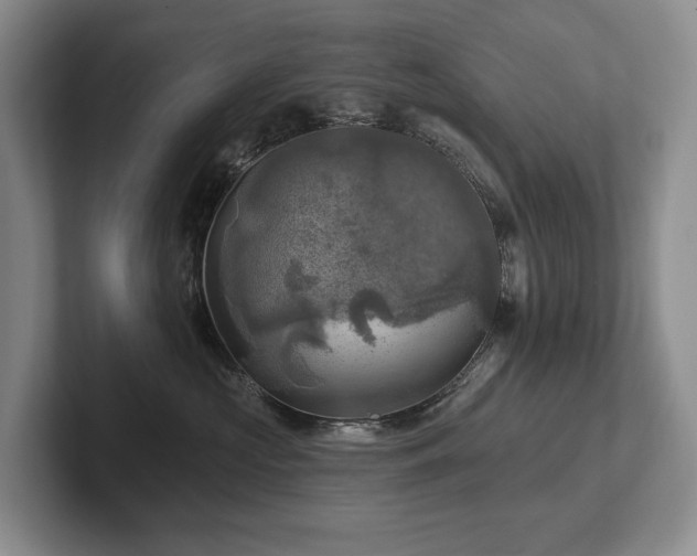 X0000102500573200808081351