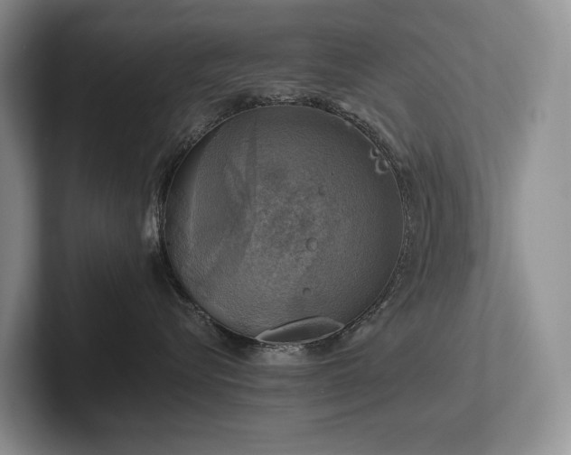 X0000102500576200808081351