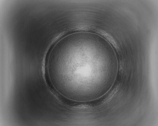 X0000102500578200808081351