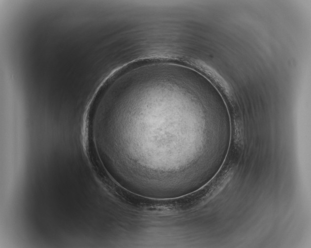 X0000102500580200808081350