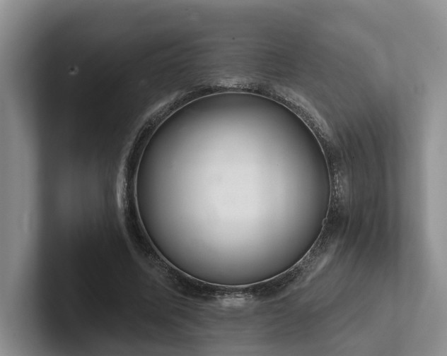 X0000102500587200808081350