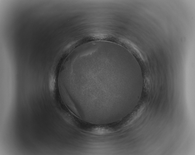 X0000102500596200808081350