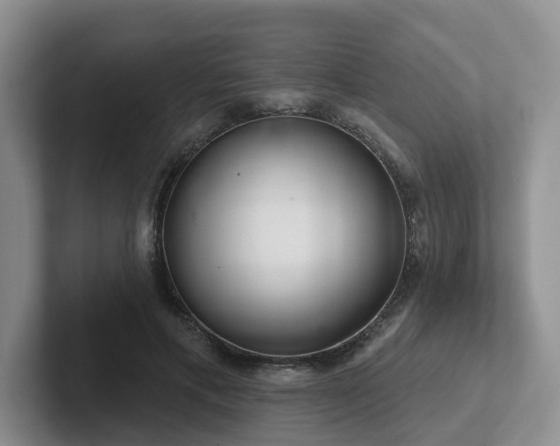 X0000102500597200808081350