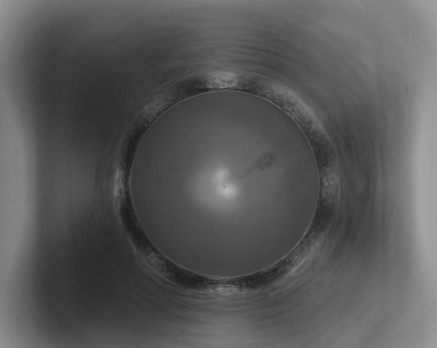 X0000102500598200808081350