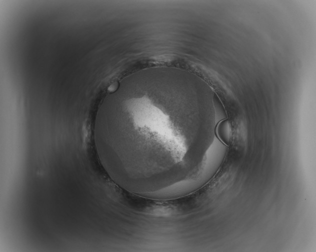 X0000102500608200808081350