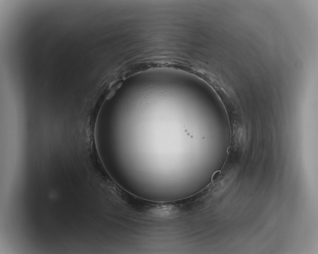 X0000102500609200808081350
