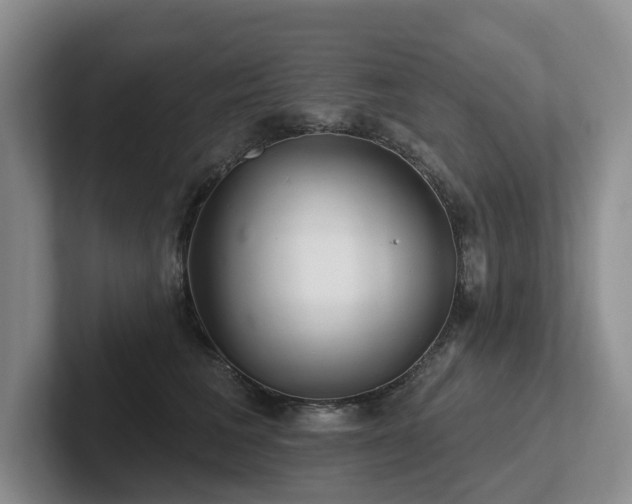 X0000102500613200808081350