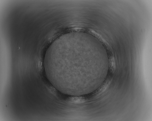 X0000102500615200808081350
