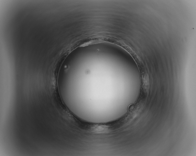 X0000102500617200808081350