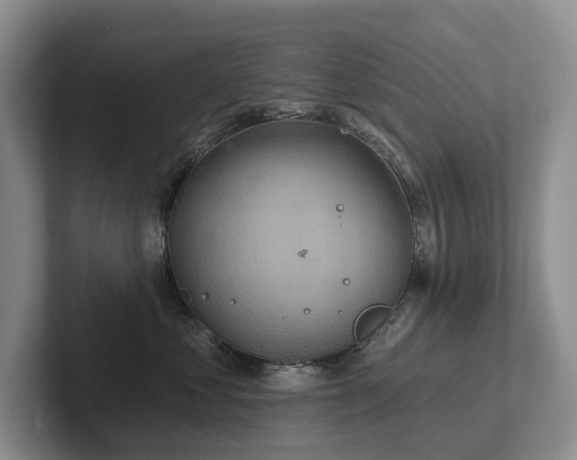 X0000102500621200808081350