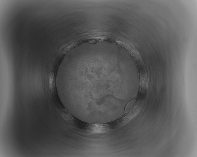 X0000102500623200808081350