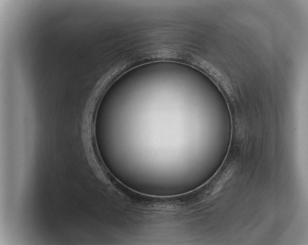 X0000102500625200808081349