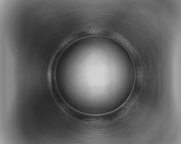 X0000102500626200808081349