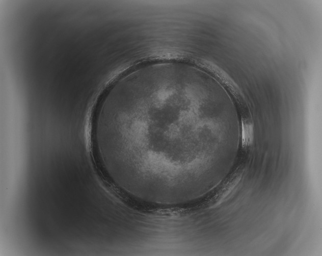X0000102500627200808081349