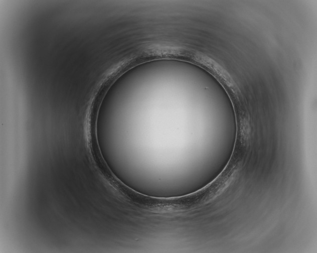 X0000102500629200808081349
