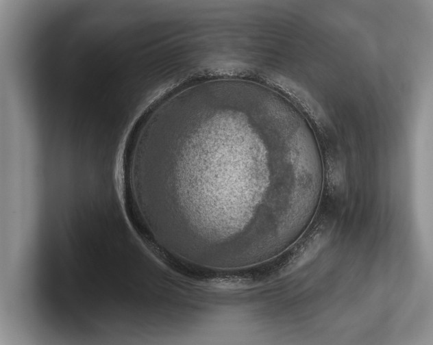 X0000102500630200808081349